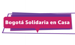 Bogotá Solidaria en Casa