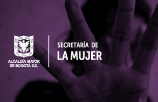 SDMujer representará en proceso penal 